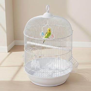 Amazon.co.jp 最新リリース: 鳥用品 の新着ランキングです。
